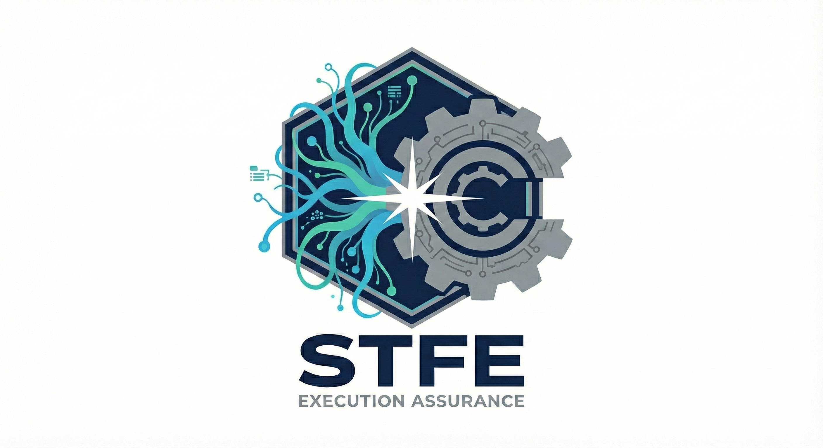 STFE Logo